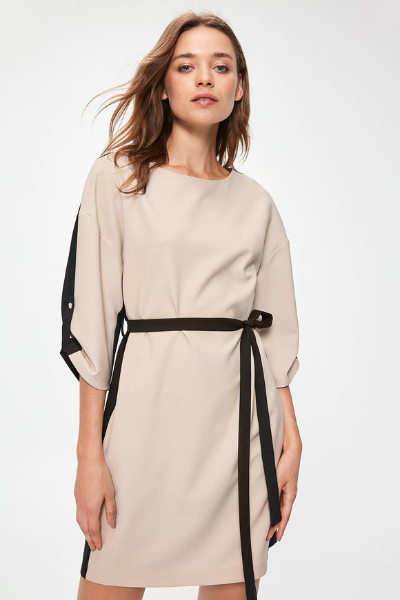  Beige Colour Blocked Waistted Dress TWOAW20EL0711 