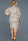19469 Gold-Mink Transparent Sleeve Sequins Dress